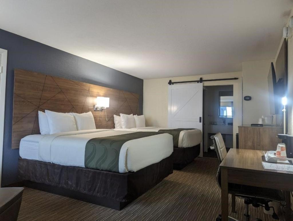 Quality Inn & Suites Northampton - Amherst Esterno foto